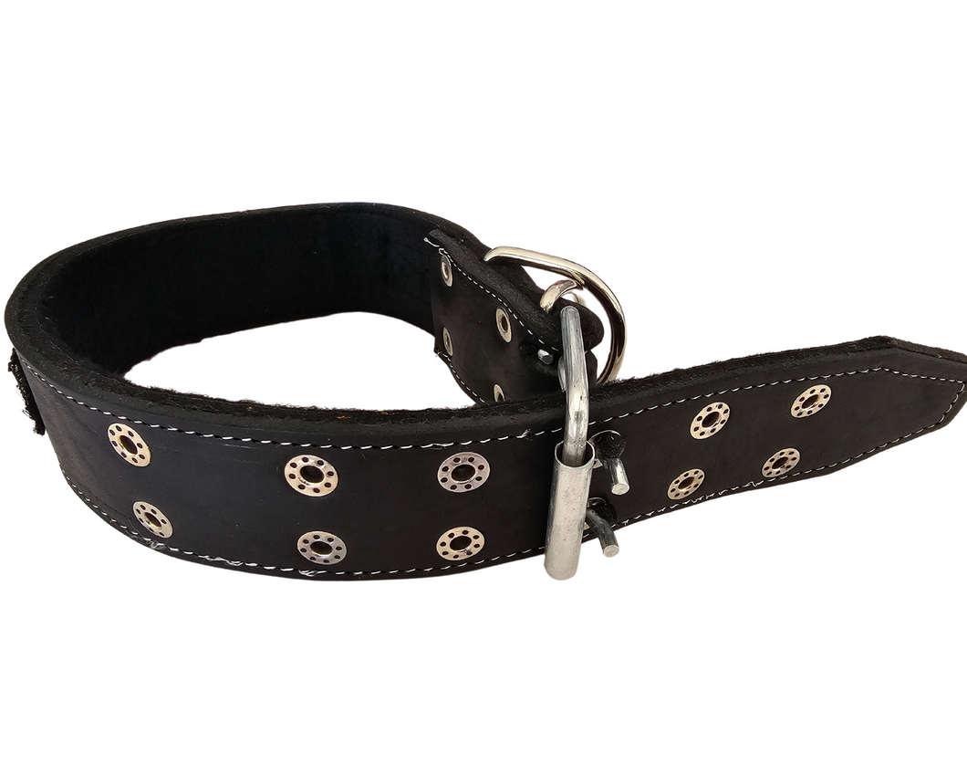 Collar de Intervención de Piel para Perros - Seguridad y Comodidad