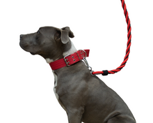 Cargar imagen en el visor de la galería, Collar de cinta reforzado  #1 razas medianas y cachorros razas grandes
